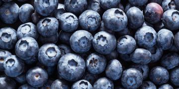 Черника: чем полезна ягода?