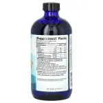 Рідка омега 3 для дітей, Children's DHA, Nordic Naturals, полуниця, 473 мл - Фото миниатюра 2