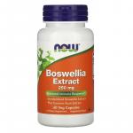 Экстракт босвеллии, Boswellia Extract, Now Foods, 250 мг, 60 растительных капсул - Фото миниатюра 1