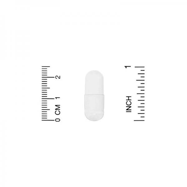 Средство для укрепления иммунитета, Immune4, California Gold Nutrition, 60 растительных капсул - Фото 3