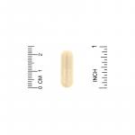 Экстракт расторопши, Milk Thistle Extract, Lake Avenue Nutrition, 175 мг, 90 растительных капсул - Фото миниатюра 3