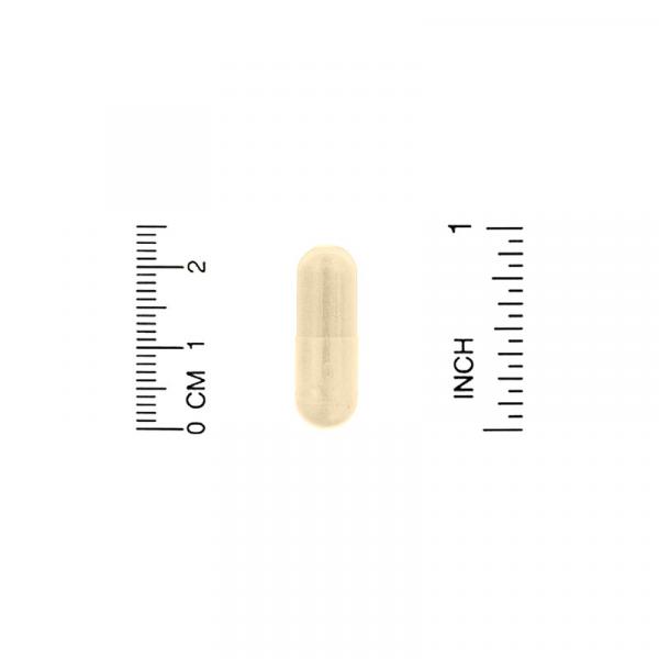 Экстракт расторопши, Milk Thistle Extract, Lake Avenue Nutrition, 175 мг, 90 растительных капсул - Фото 3