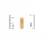 Экстракт расторопши, Milk Thistle Extract, Lake Avenue Nutrition, 175 мг, 240 растительных капсул - Фото миниатюра 3