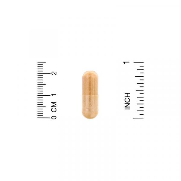 Экстракт расторопши, Milk Thistle Extract, Lake Avenue Nutrition, 175 мг, 240 растительных капсул - Фото 3