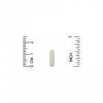 Птеростильбен, Pterostilbene, California Gold Nutrition, 50 мг, 30 растительных капсул - Фото миниатюра 3