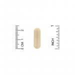 Бенфотіамін з альфа-ліпоєвою кислотою, Benfotiamine Alpha Lipoic Acid, California Gold Nutrition, 90 вегетаріанських капсул - Фото миниатюра 3