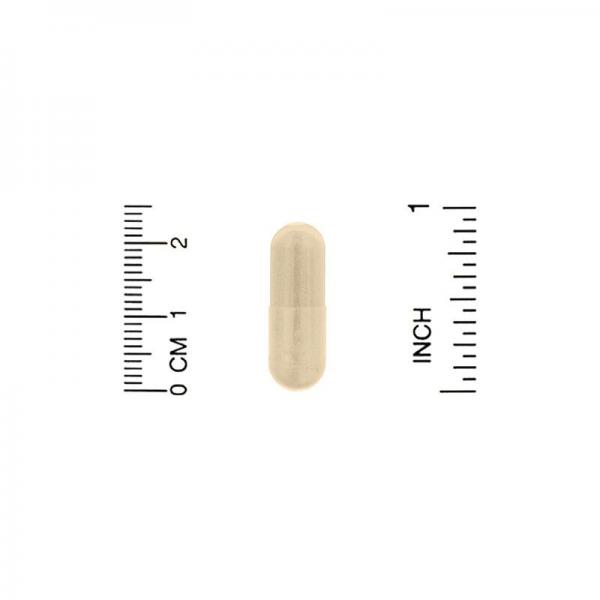 Бенфотиамин с альфа-липоевой кислотой, Benfotiamine Alpha Lipoic Acid, California Gold Nutrition, 30 вегетарианских капсул  - Фото 3