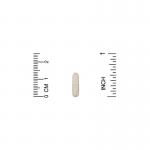 Птеростильбен, Pterostilbene, California Gold Nutrition, 50 мг, 180 растительных капсул - Фото миниатюра 3