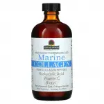 Морской коллаген из дикой норвежской трески, с ягодным вкусом, Marine Collagen Wild Caught Norwegian Cod, Berry, Nature's Answer, 240 мл - Фото миниатюра 1