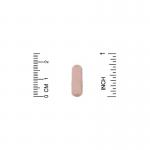 Пробиотик, 10 штаммов, 25 млрд КОЕ, Lake Avenue Nutrition, 60 вегетарианских капсул - Фото миниатюра 3