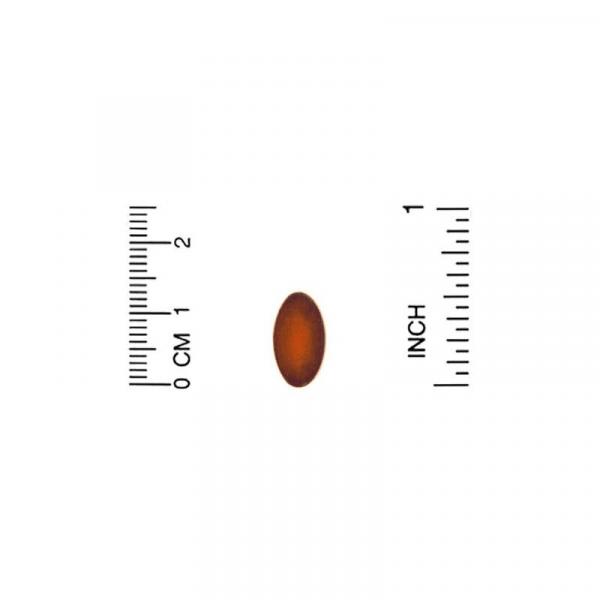 Пирролохинолинхинон, PQQ, California Gold Nutrition, 20 мг, 30 растительных капсул - Фото 3