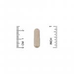 Сахаромицеты Буларди, Lake Avenue Nutrition, 10 млрд КОЕ, 60 капсул  - Фото миниатюра 3