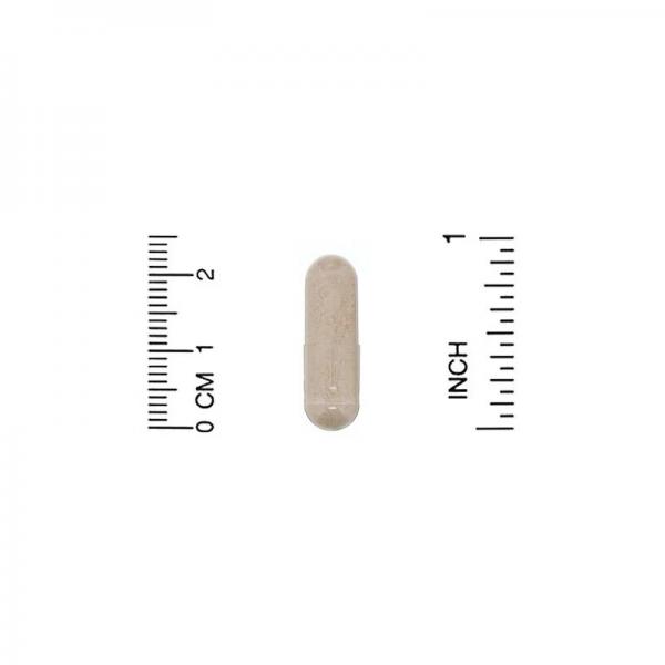 Сахаромицеты Буларди, Lake Avenue Nutrition, 10 млрд КОЕ, 60 капсул  - Фото 3