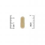 L-теанин и кофеин, TheanineUP, California Gold Nutrition,  60 растительных капсул - Фото миниатюра 3