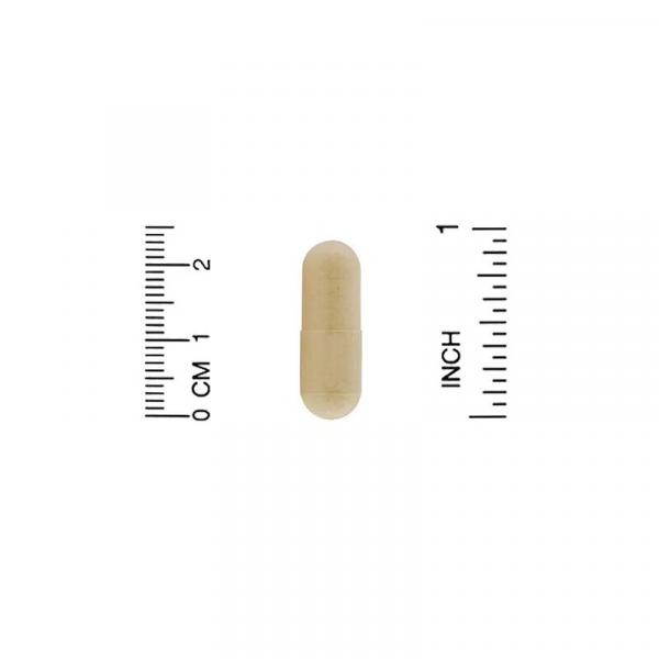 L-теанин и кофеин, TheanineUP, California Gold Nutrition,  60 растительных капсул - Фото 3