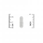 L-теанин, L-theanine, California Gold Nutrition, 100 мг, 30 капсул  - Фото миниатюра 3