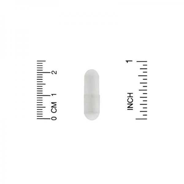 L-теанин, L-theanine, California Gold Nutrition, 100 мг, 30 капсул  - Фото 3