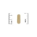 Комплекс с кордицепсом, Cordyceps Complex, California Gold Nutrition, Fungiology, 90 растительных капсул - Фото миниатюра 3