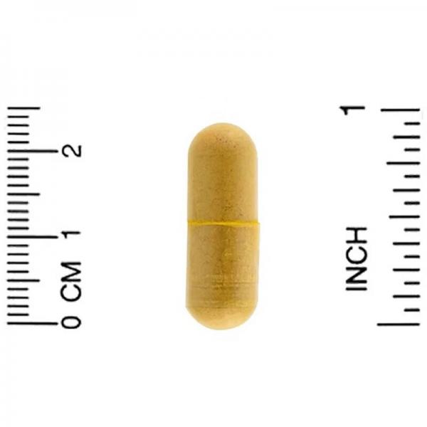 Экстракт босвеллии плюс экстракт куркумы, California Gold Nutrition, 500 мг, 120 вегетарианских капсул - Фото 3