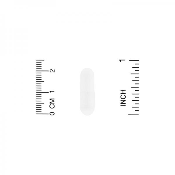 L-теанин, L-theanine, California Gold Nutrition, 100 мг, 60 растительных капсул  - Фото 3