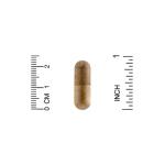 Пчелиный прополис 2Х, California Gold Nutrition, 500 мг, 90 капсул  - Фото миниатюра 3