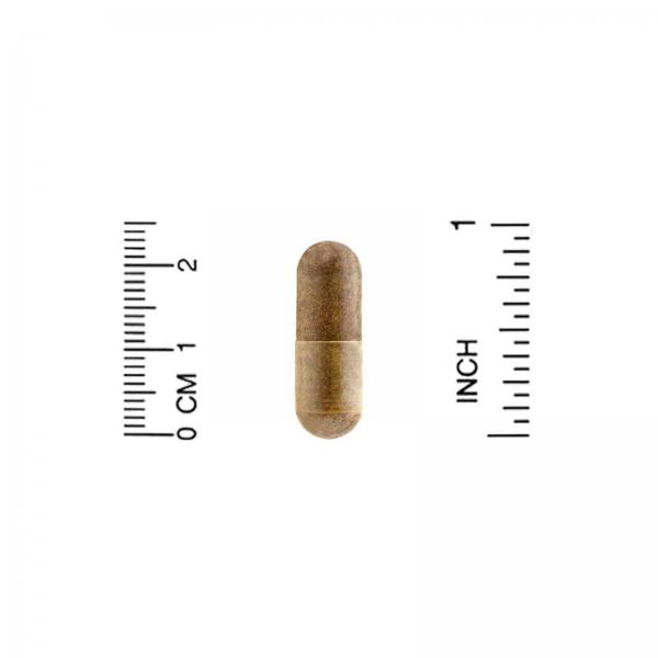 Пчелиный прополис 2Х, California Gold Nutrition, 500 мг, 90 капсул  - Фото 3