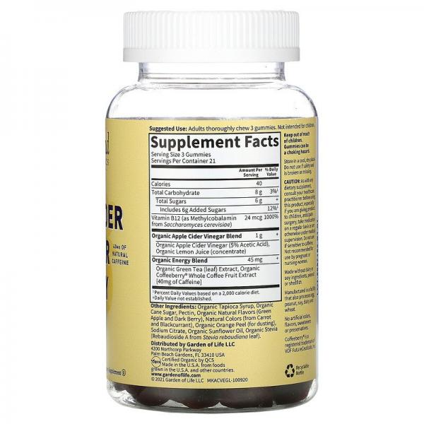 Органический яблочный уксус, Organic Apple Cider Vinegar Energy Gummies, Garden of Life, 63 веганских жевательных конфеты - Фото 2