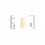 Экстракт расторопши, 80% силимарина, California Gold Nutrition, 175 мг, 180 растительных капсул - Фото миниатюра 3