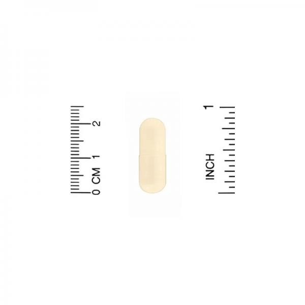 Экстракт расторопши, 80% силимарина, California Gold Nutrition, 175 мг, 180 растительных капсул - Фото 3