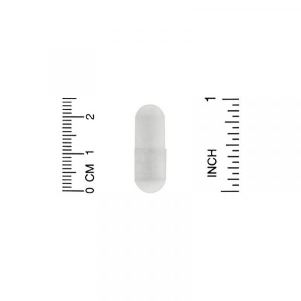 L-таурин, L-Taurine, AjiPure, California Gold Nutrition, 1000 мг, 60 растительных капсул - Фото 3