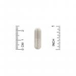 Экстракт бакопы, Bacopa Extract, California Gold Nutrition, 320 мг, 120 растительных капсул  - Фото миниатюра 3