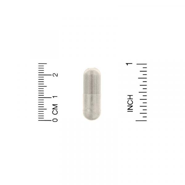 Экстракт бакопы, Bacopa Extract, California Gold Nutrition, 320 мг, 120 растительных капсул  - Фото 3