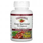 Экстракт виноградных косточек, Grape Seed Extract, Natural Factors, 100 мг, 60 вегетарианских капсул - Фото миниатюра 1