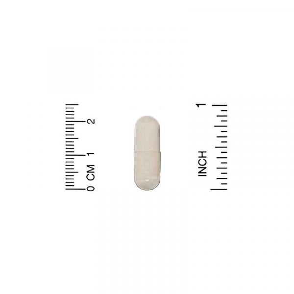 Пробиотики, 65 млрд КОЕ, LactoBif 65 Probiotics, California Gold Nutrition, 30 вегетарианских капсул - Фото 3