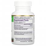 Артишок, Artichoke, Paradise Herbs, 60 вегетарианских капсул - Фото миниатюра 2