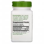 Корень алтея, Marshmallow Root, Nature's Way, 480 мг, 100 веганских капсул - Фото миниатюра 2