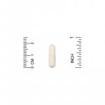 Пробиотики ежедневной поддержки, Daily Maintenance Probiotics, HealthyBiom, 5 млрд КОЕ, 90 вегетарианских капсул - Фото миниатюра 3