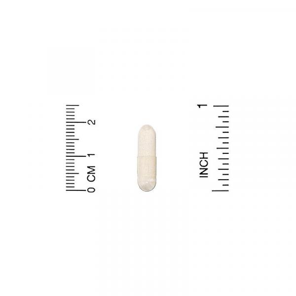 Пробиотики ежедневной поддержки, Daily Maintenance Probiotics, HealthyBiom, 5 млрд КОЕ, 90 вегетарианских капсул - Фото 3