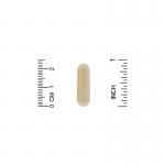 Рейши, Ganoderma Lucidum, California Gold Nutrition, 90 вегетарианских капсул - Фото миниатюра 3