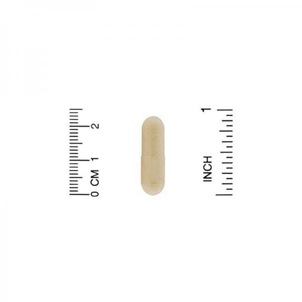 Рейши, Ganoderma Lucidum, California Gold Nutrition, 90 вегетарианских капсул - Фото 3