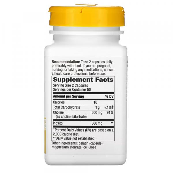 Холин и инозитол, Choline Inositol, Nature's Way, 500 мг, 100 капсул - Фото 2