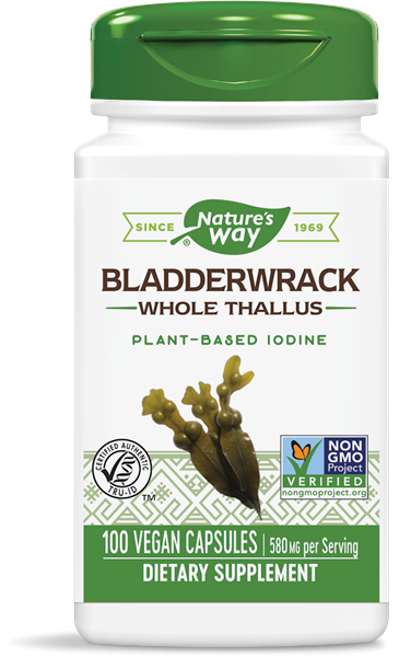 Ламинария, Bladderwrack, Nature's Way, 580 мг, 100 капсул  - Фото 1