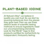 Ламинария, Bladderwrack, Nature's Way, 580 мг, 100 капсул  - Фото миниатюра 3