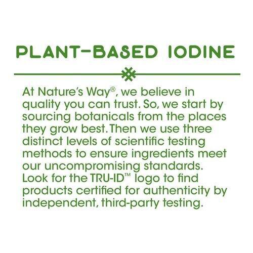 Ламинария, Bladderwrack, Nature's Way, 580 мг, 100 капсул  - Фото 3