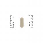 Ламинария, Kelp, Nature's Way, 600 мг, 180 капсул - Фото миниатюра 3