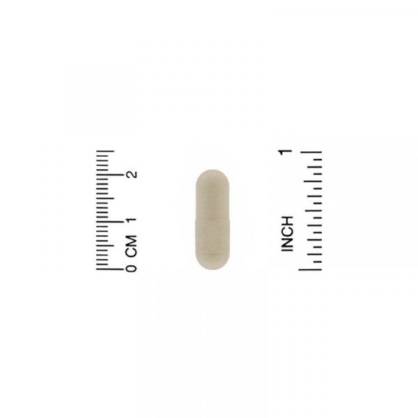 Ламинария, Kelp, Nature's Way, 600 мг, 180 капсул - Фото 3