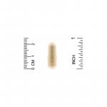 Силимарин Комплекс (расторопша), California Gold Nutrition, 300 мг, 360 капсул  - Фото миниатюра 3