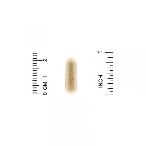 Силимарин Комплекс (расторопша), California Gold Nutrition, 300 мг, 360 капсул  - Фото 3