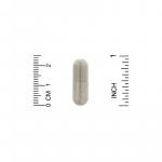 Ашвагандха, Ashwagandha Root Extract, California Gold Nutrition, 450 мг 180 капсул - Фото миниатюра 3