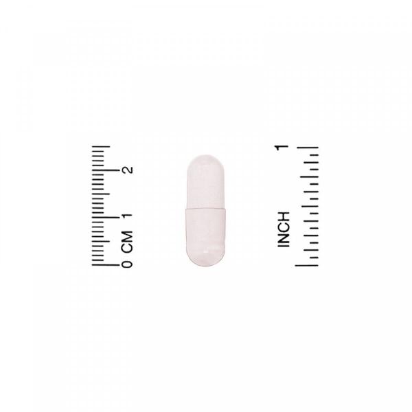 Комплекс пробіотиків, Dr. Mercola, 90 капсул - Фото 3